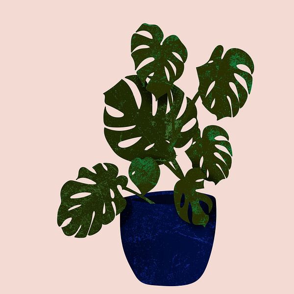 Monstera plant in blue pot. by Bianca van Dijk