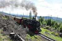 Steam train Harz