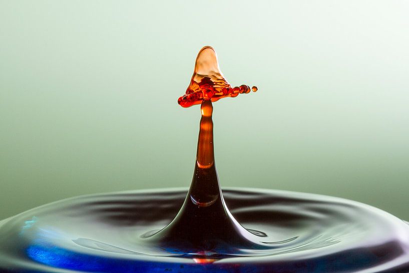 Unter dem Hut von Kim Dalmeijer