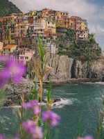 Manarola, buntes Dorf in den Cinque Terre