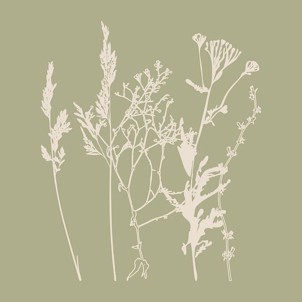 Fleurs d'été et graminées en blanc et sauge V par Dina Dankers