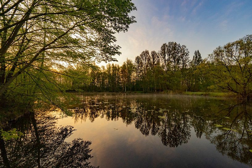 Creekscape von Sam Mannaerts