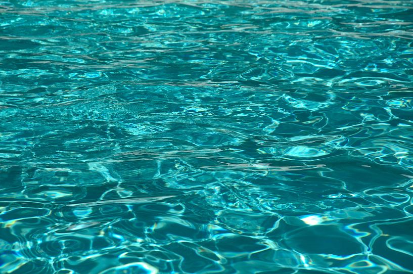 cool in the pool von Thomas Wagner