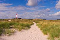  Strandweg - Insel Amrum
