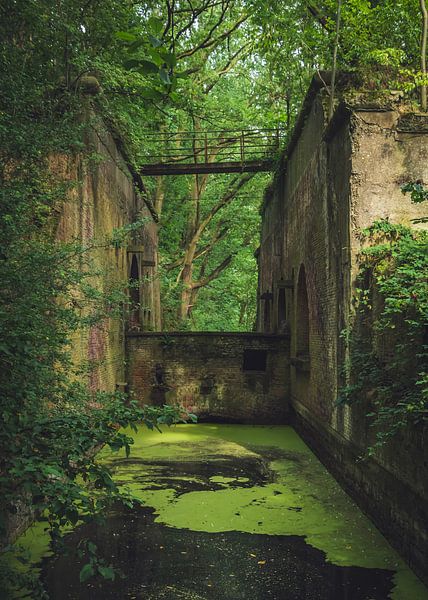 La partie ancienne du château et la nature. par Robby's fotografie