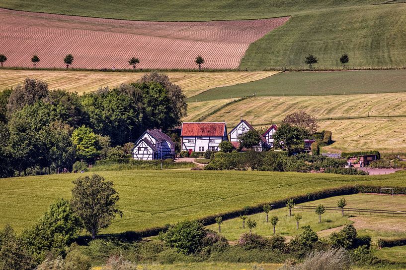 Half-timbered farmhouses Epen by Rob Boon