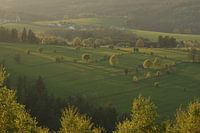 Lignes dans le paysage