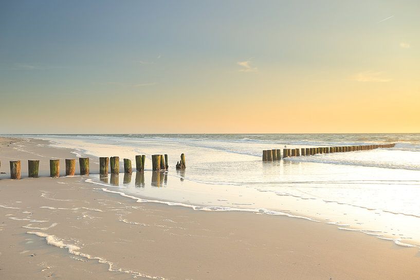 Bollard row Hollum by Rinnie Wijnstra (FotoAmeland )