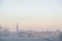 Lithoijen in the morning mist