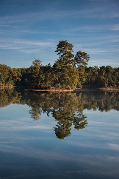 Mirror by Marc van Tilborg