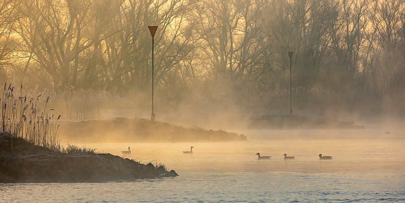 IJssel near Wilsum in fog by Evert Jan Kip
