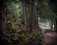 Bisse Vieux, Switzerland
