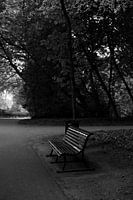Romantic park bench, black and white