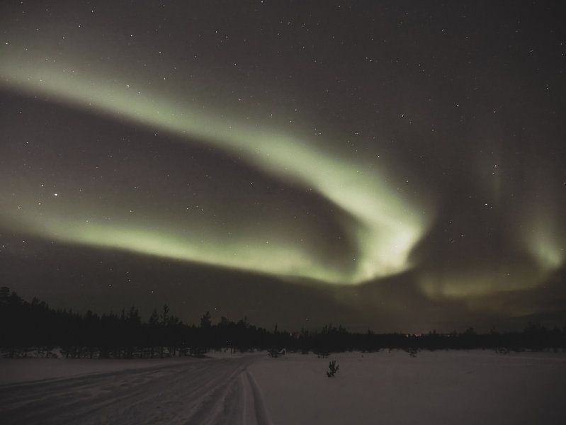 Natürliche Schönheit von Larissa Geuke