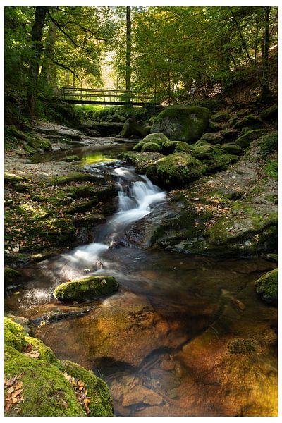 Small waterfall in the Grobbach near Geroldsau- Baden-Baden by André Post
