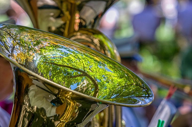 Tuba mit Spiegelung eines grünen Baumes von Patricia Hofmeester