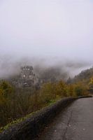 The endless road to the castle