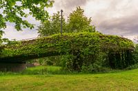 Eine mit Blättern bedeckte Brücke