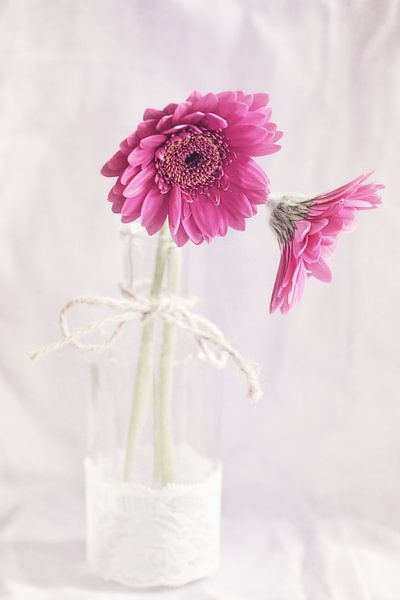 In einer Vase. von LHJB Photography