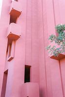 Murella Roja Bildende Kunst