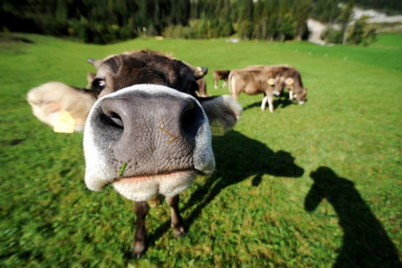 I want to kiss you von Laura Vink