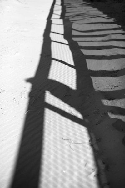 Passerby by Cathfish photography by Cathie Lefieuw