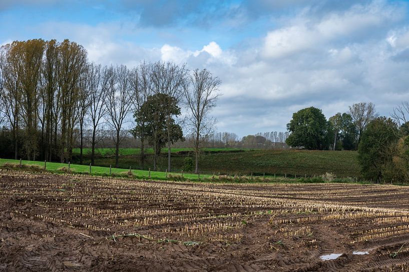 La récolte est en cours par Werner Lerooy