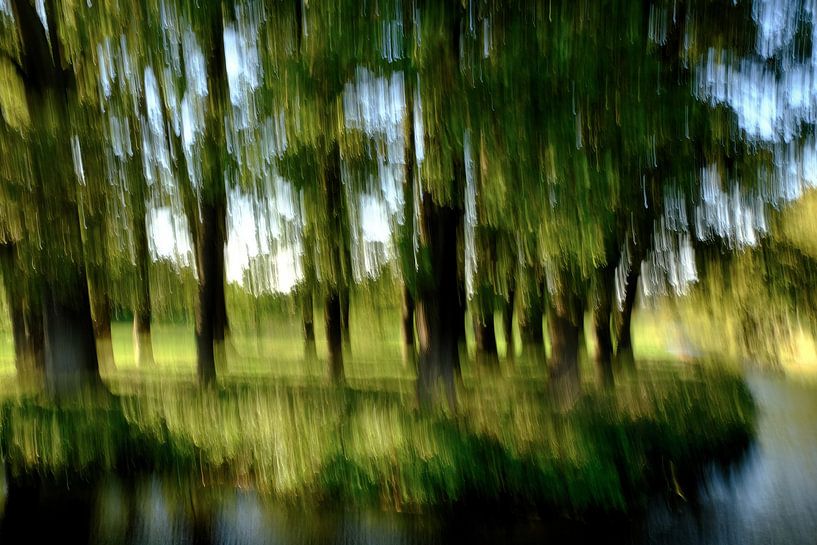 Arbres en mouvement (ICM) par Carla van Zomeren