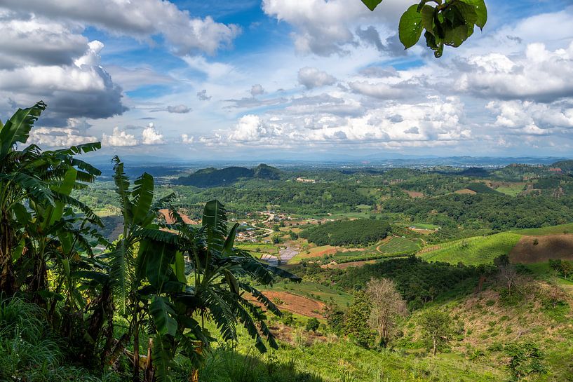 Doi Mae Salong, province de Chiang Rai dans le nord de la Thaïlande par Franklin Driessen