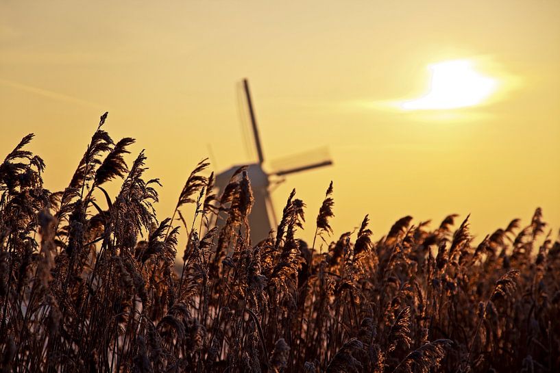 Kinderdijk Sonnenaufgang im Winter von Anton de Zeeuw