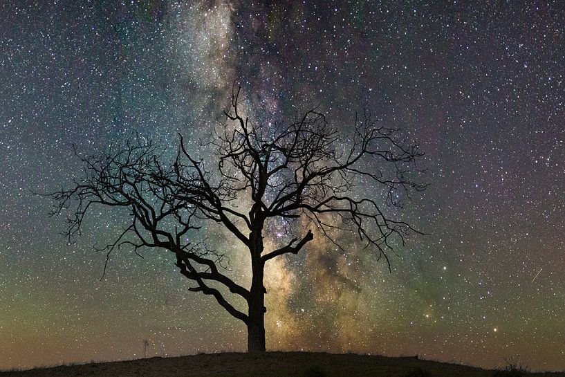 Galaxie von Ruud de Soet