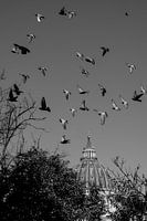 Street View Saint Pierre avec colombes BNW Rome Italie