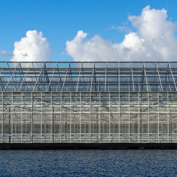 Linien im Gewächshausbau von Henri Boer Fotografie