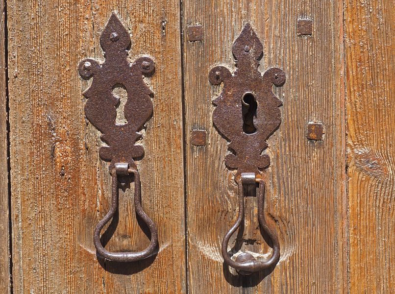 The Door von Alex Davidse