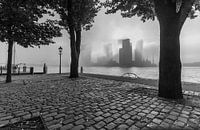 Matin brumeux à Rotterdam