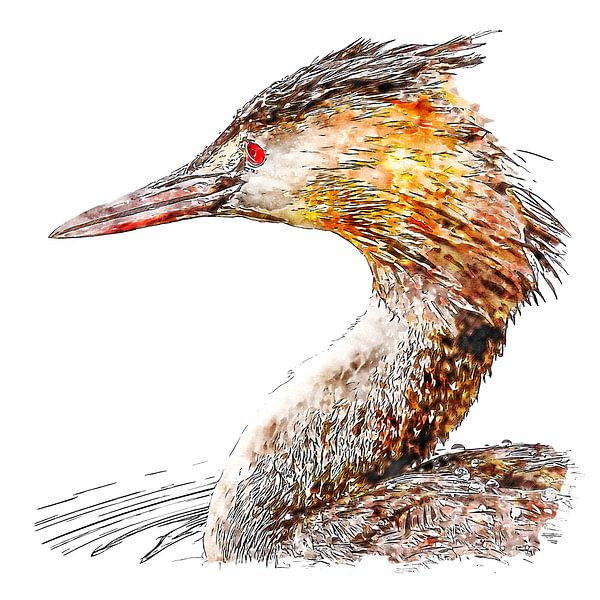 Porträt eines Tauchers (Aquarell) von Art by Jeronimo