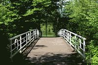 Bridge in Park
