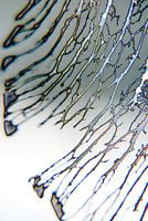 Abstractie van Ding #004d