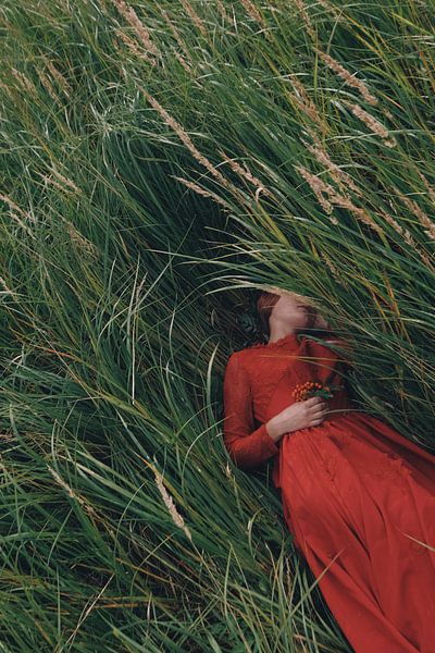 * by Olga Barantseva