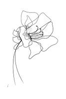 Einzeilige Zeichnung Azalee