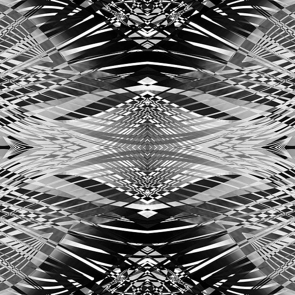 PRETTY BLACK &amp; WHITE LINES PII van Pia Schneider