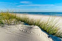 Mer du Nord - Langeoog