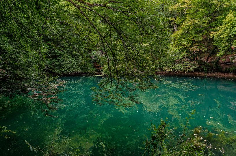 Bright blue by Anne van der Heijden