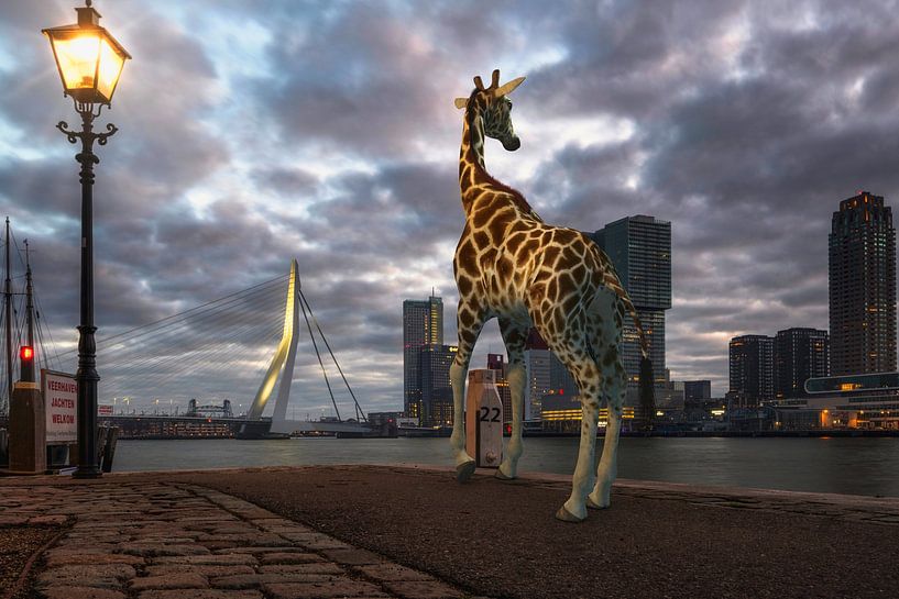 Urban Wild IV von Arjen Roos