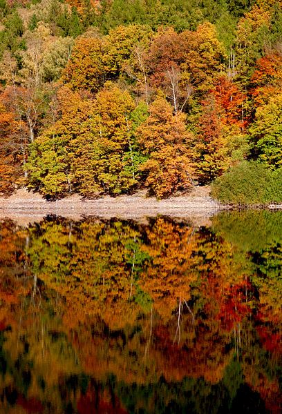 Golden October by Thomas Jäger