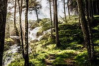 Nur das Einhorn bleibt übrig.