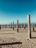 Palendorp von Petten