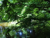 Reflections of water