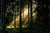 Wo das Licht die Stille berührt.