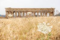 Segesta auf Sizilien